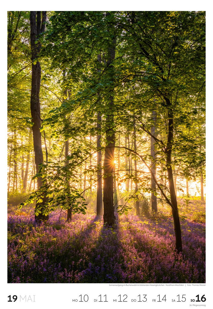 Weitere Ansicht: Natur Wochenkalender 2027 | Ackermann Kunstverlag GmbH