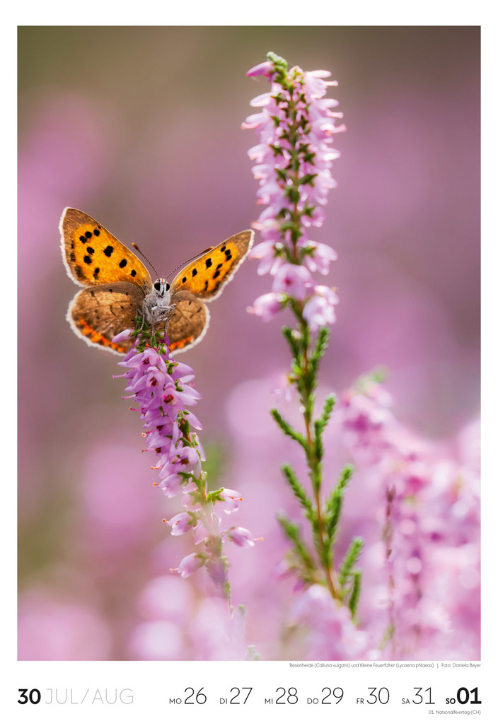 Weitere Ansicht: Natur Wochenkalender 2027 | Ackermann Kunstverlag GmbH