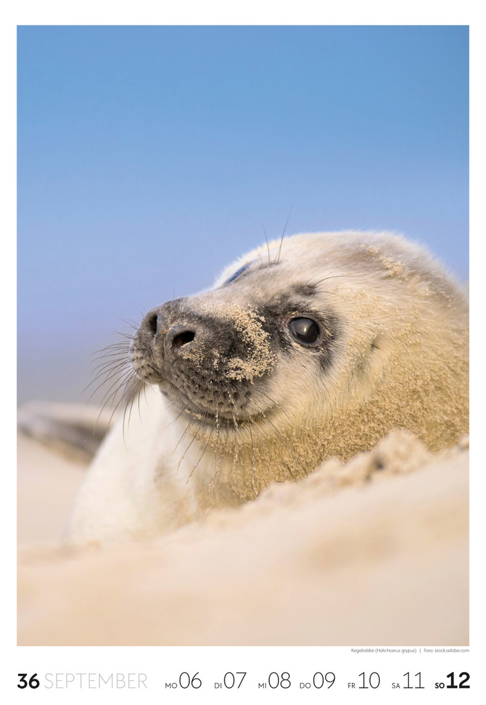 Weitere Ansicht: Natur Wochenkalender 2027 | Ackermann Kunstverlag GmbH