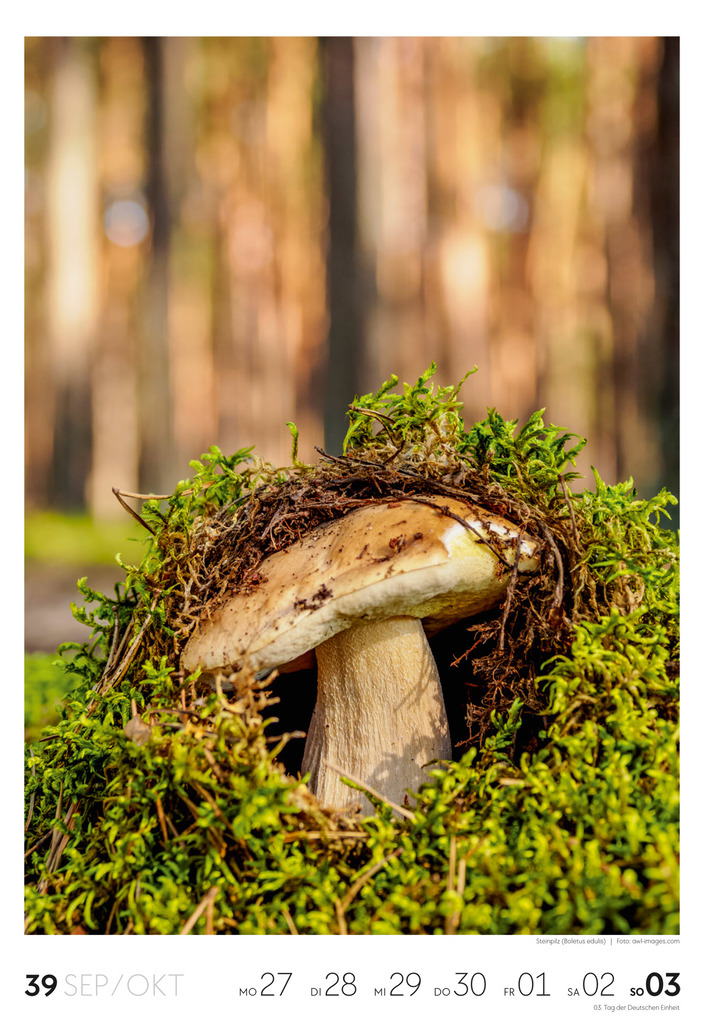 Weitere Ansicht: Natur Wochenkalender 2027 | Ackermann Kunstverlag GmbH
