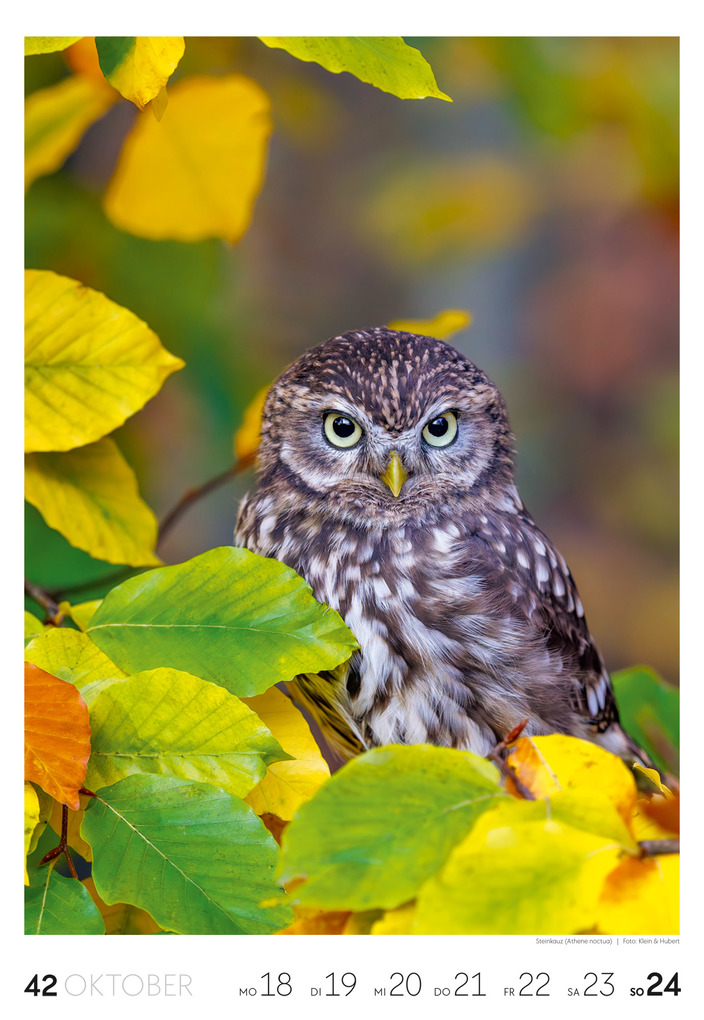 Weitere Ansicht: Natur Wochenkalender 2027 | Ackermann Kunstverlag GmbH