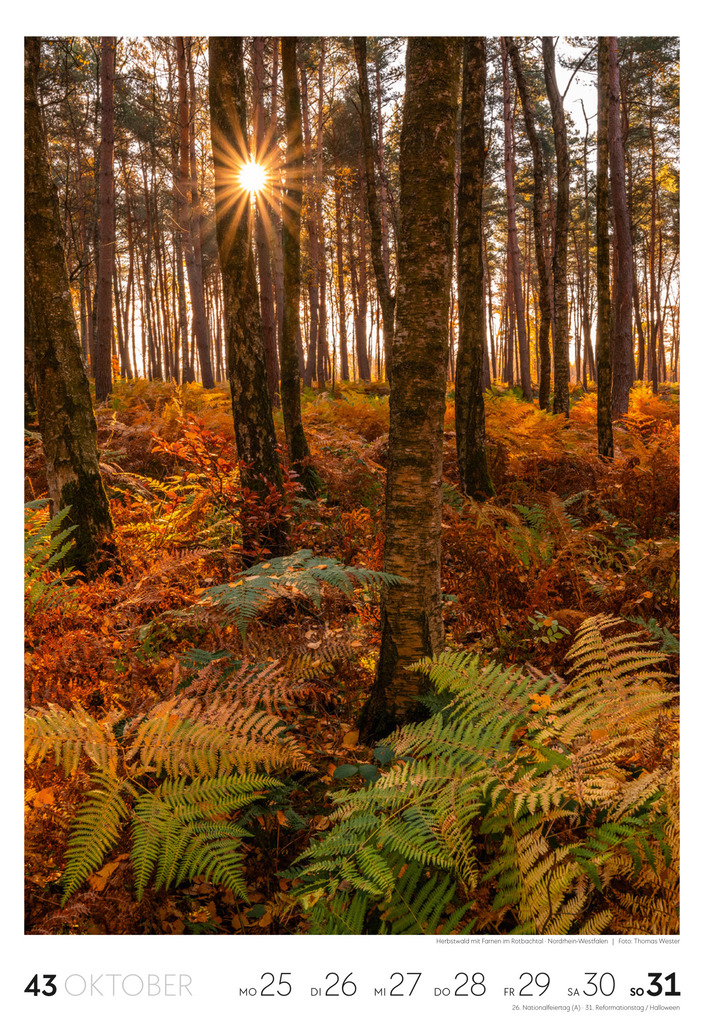 Weitere Ansicht: Natur Wochenkalender 2027 | Ackermann Kunstverlag GmbH