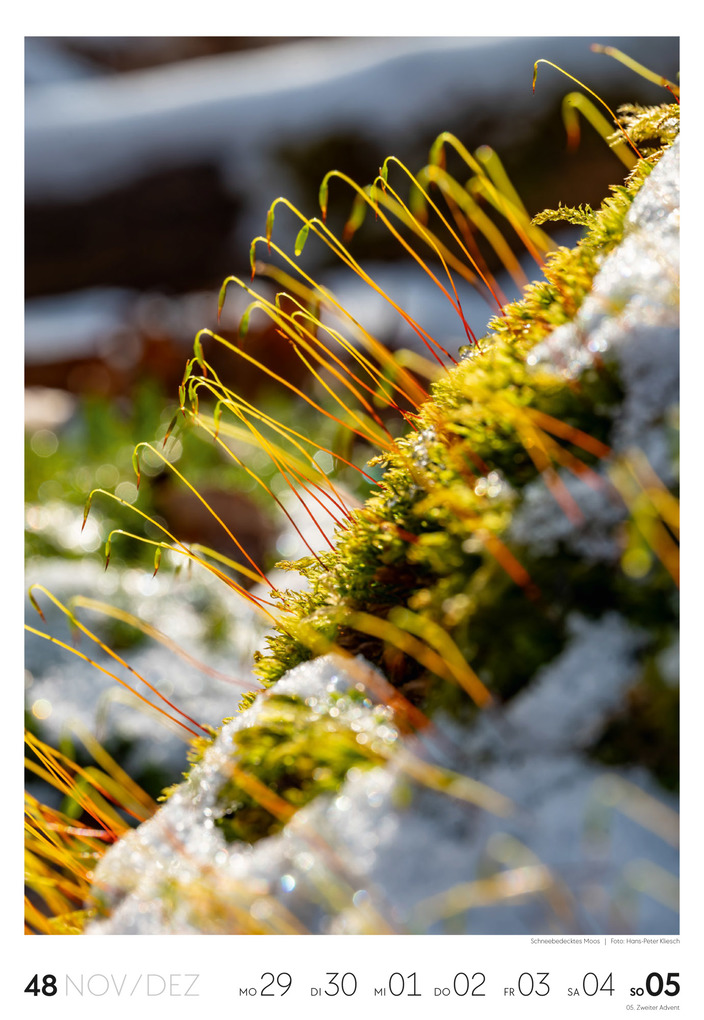 Weitere Ansicht: Natur Wochenkalender 2027 | Ackermann Kunstverlag GmbH
