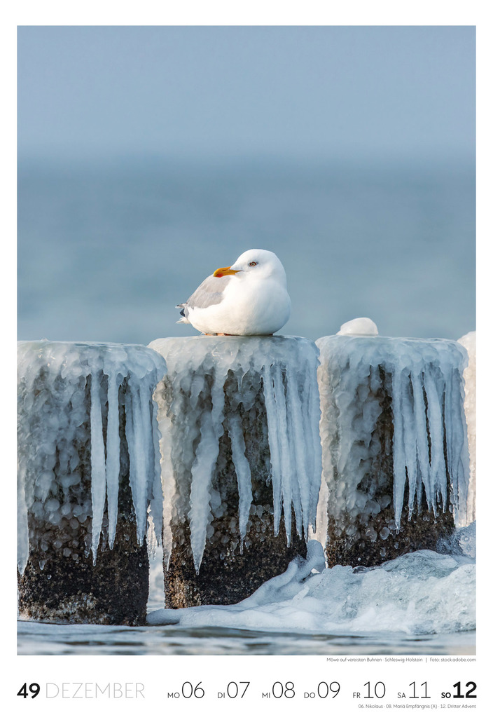 Weitere Ansicht: Natur Wochenkalender 2027 | Ackermann Kunstverlag GmbH