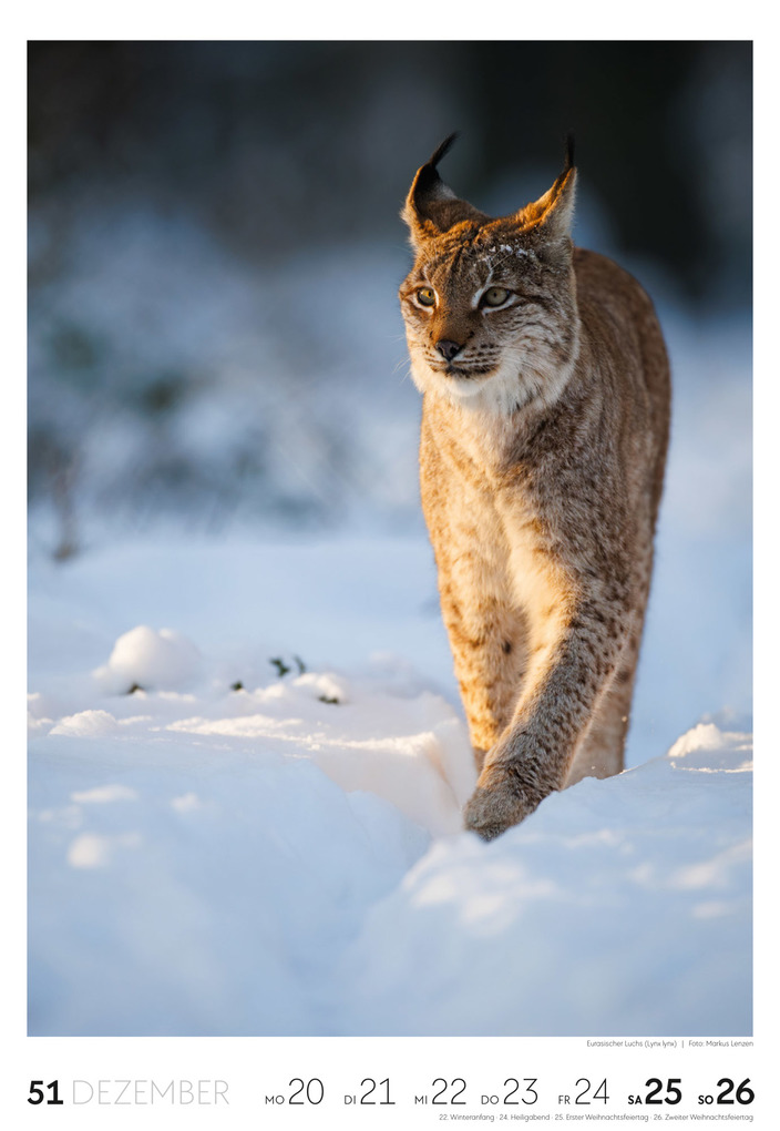 Weitere Ansicht: Natur Wochenkalender 2027 | Ackermann Kunstverlag GmbH