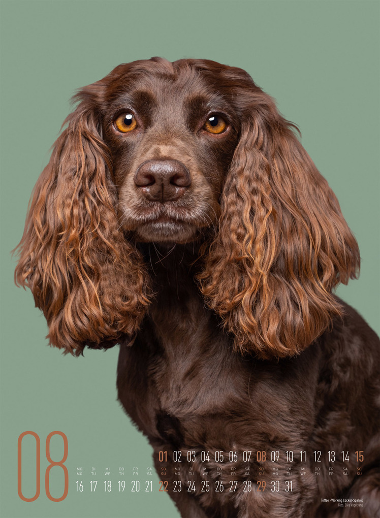 Weitere Ansicht: Frei Schnauze Kalender 2027 | Elke Vogelsang, Ackermann Kunstverlag GmbH