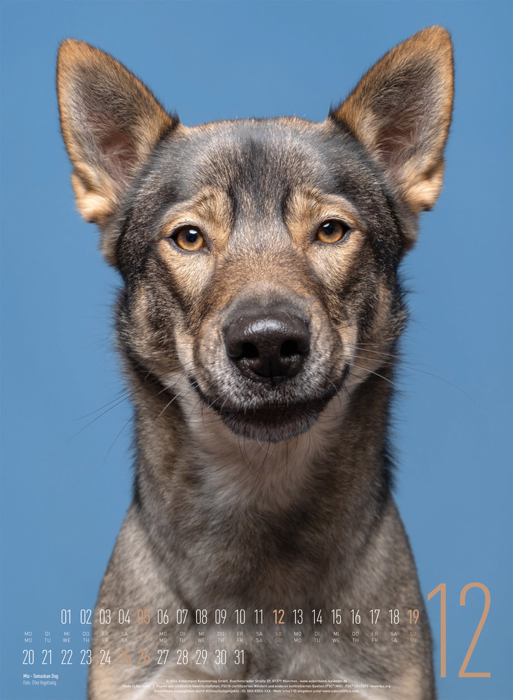 Weitere Ansicht: Frei Schnauze Kalender 2027 | Elke Vogelsang, Ackermann Kunstverlag GmbH