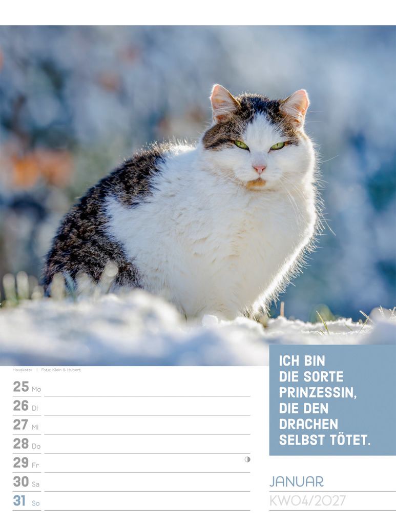 Weitere Ansicht: Tierisch Sprüchekalender Wochenplaner 2027 | Ackermann Kunstverlag GmbH