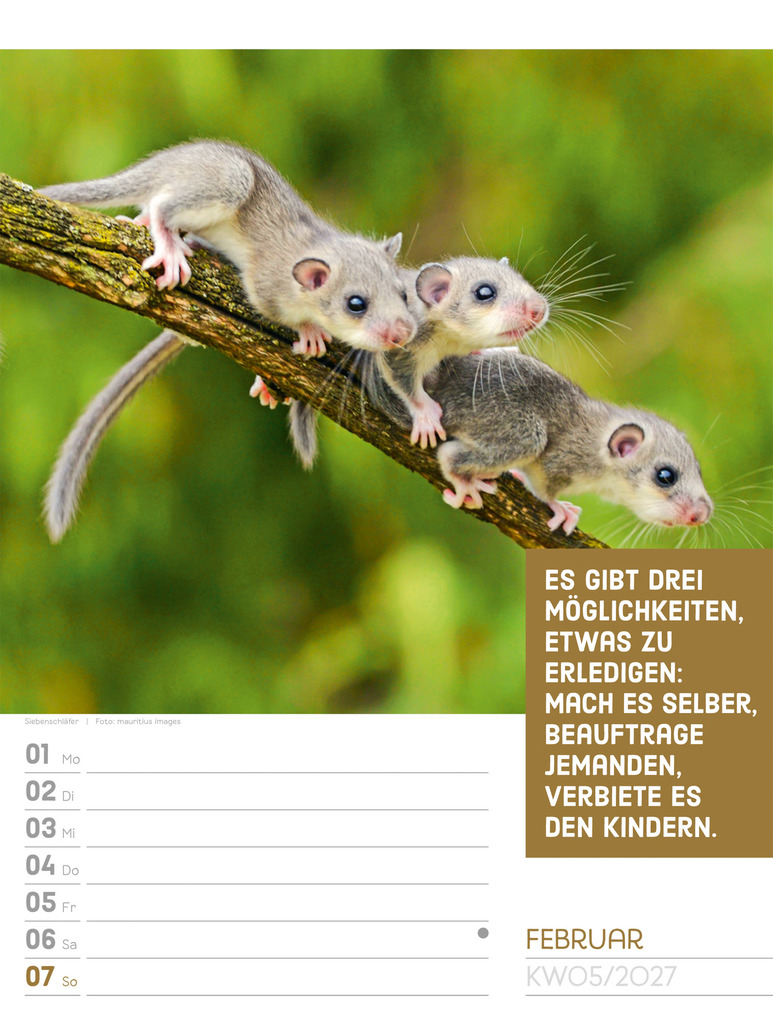 Weitere Ansicht: Tierisch Sprüchekalender Wochenplaner 2027 | Ackermann Kunstverlag GmbH