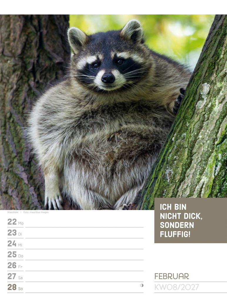 Weitere Ansicht: Tierisch Sprüchekalender Wochenplaner 2027 | Ackermann Kunstverlag GmbH