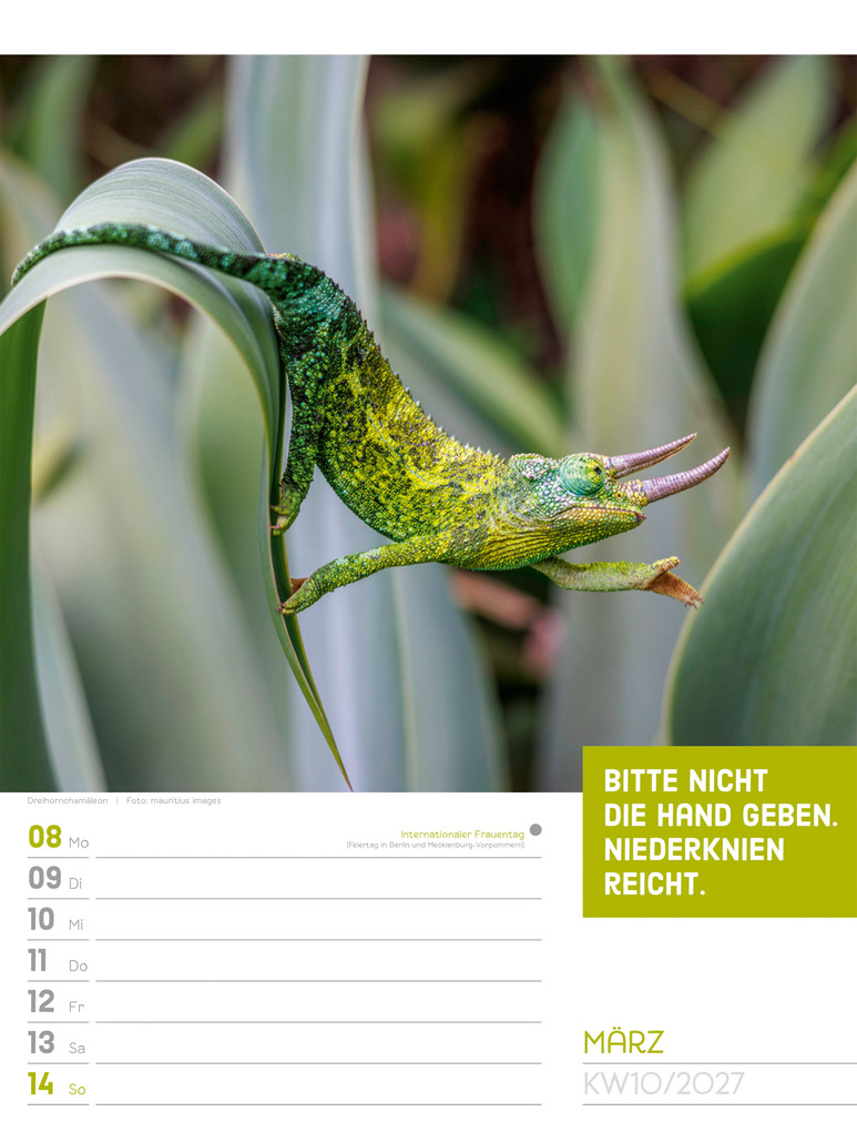Weitere Ansicht: Tierisch Sprüchekalender Wochenplaner 2027 | Ackermann Kunstverlag GmbH
