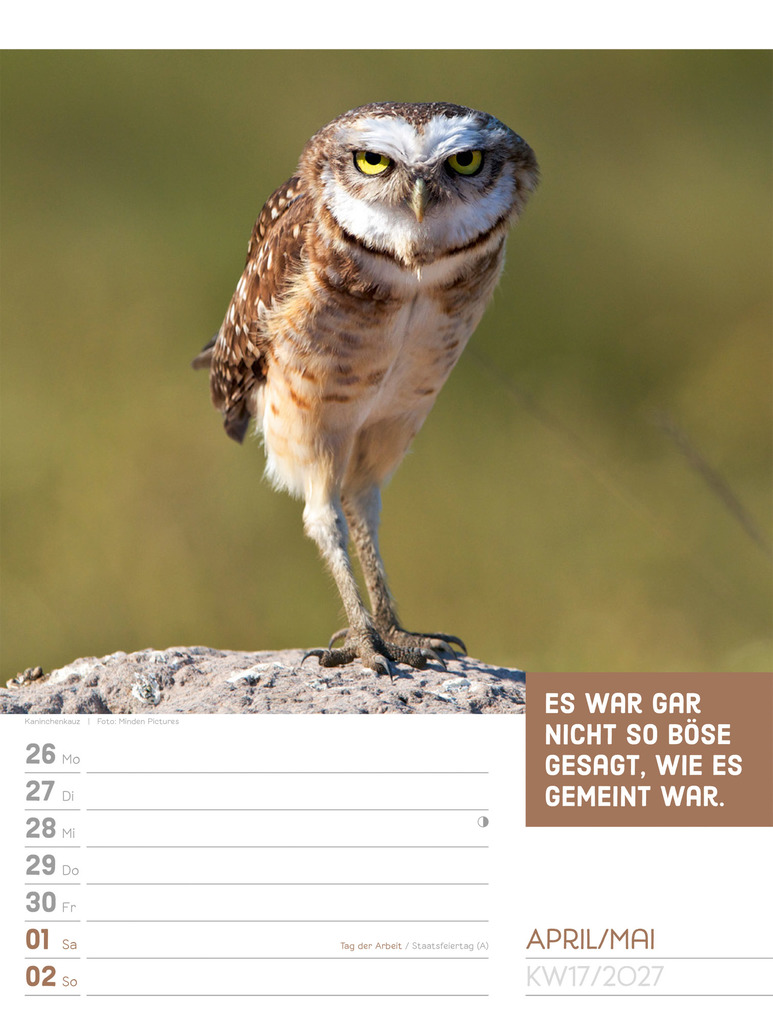 Weitere Ansicht: Tierisch Sprüchekalender Wochenplaner 2027 | Ackermann Kunstverlag GmbH