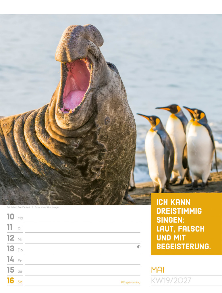 Weitere Ansicht: Tierisch Sprüchekalender Wochenplaner 2027 | Ackermann Kunstverlag GmbH