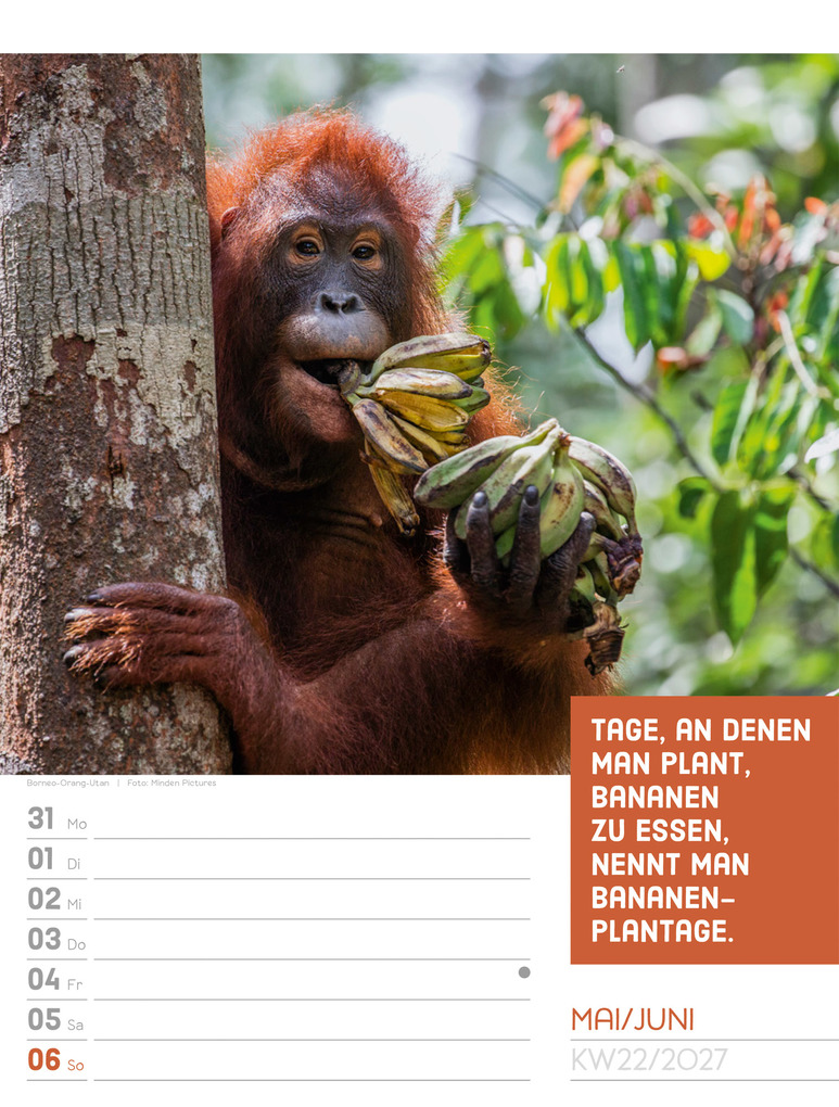 Weitere Ansicht: Tierisch Sprüchekalender Wochenplaner 2027 | Ackermann Kunstverlag GmbH