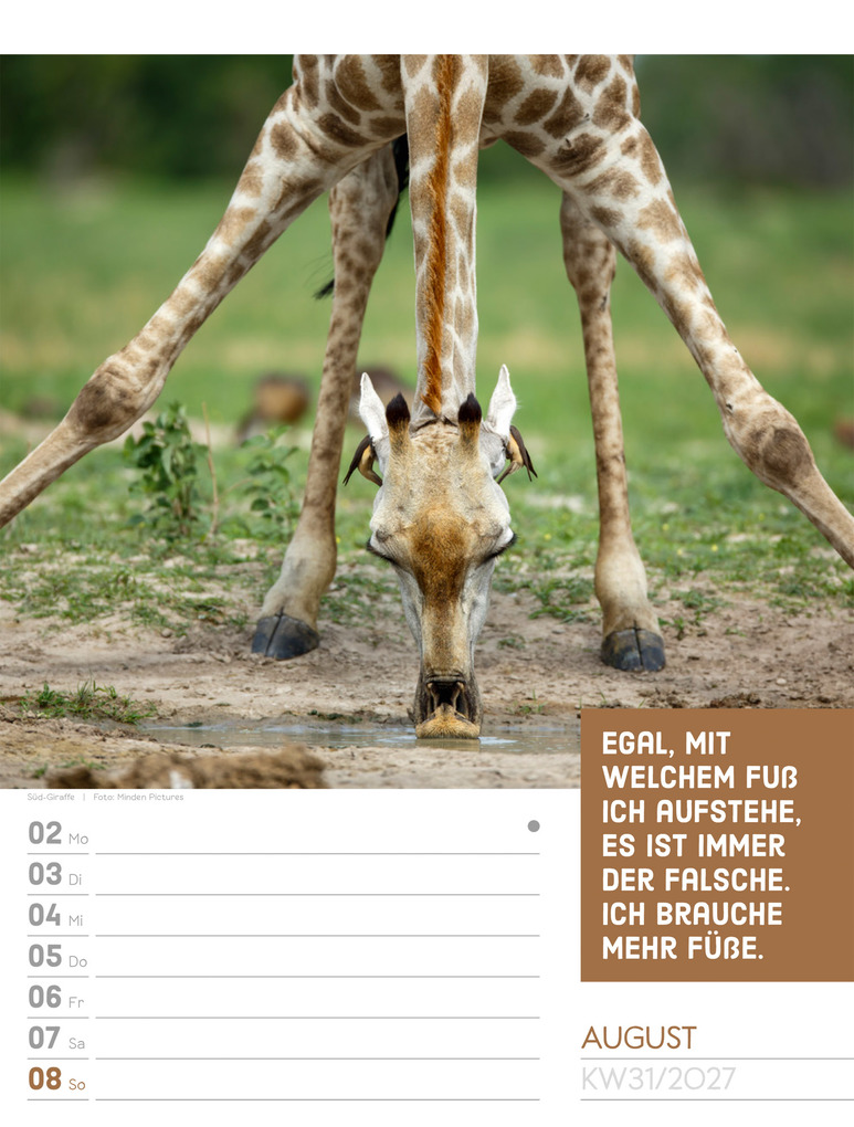 Weitere Ansicht: Tierisch Sprüchekalender Wochenplaner 2027 | Ackermann Kunstverlag GmbH