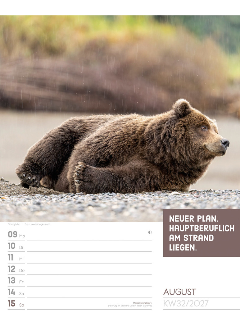 Weitere Ansicht: Tierisch Sprüchekalender Wochenplaner 2027 | Ackermann Kunstverlag GmbH
