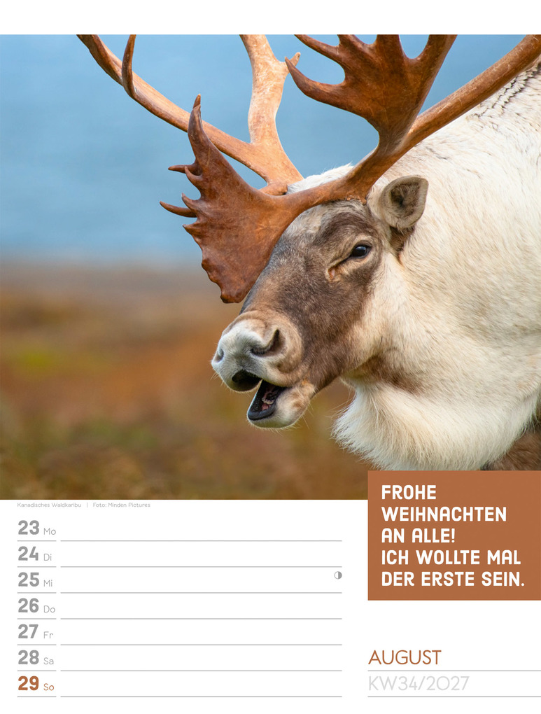 Weitere Ansicht: Tierisch Sprüchekalender Wochenplaner 2027 | Ackermann Kunstverlag GmbH
