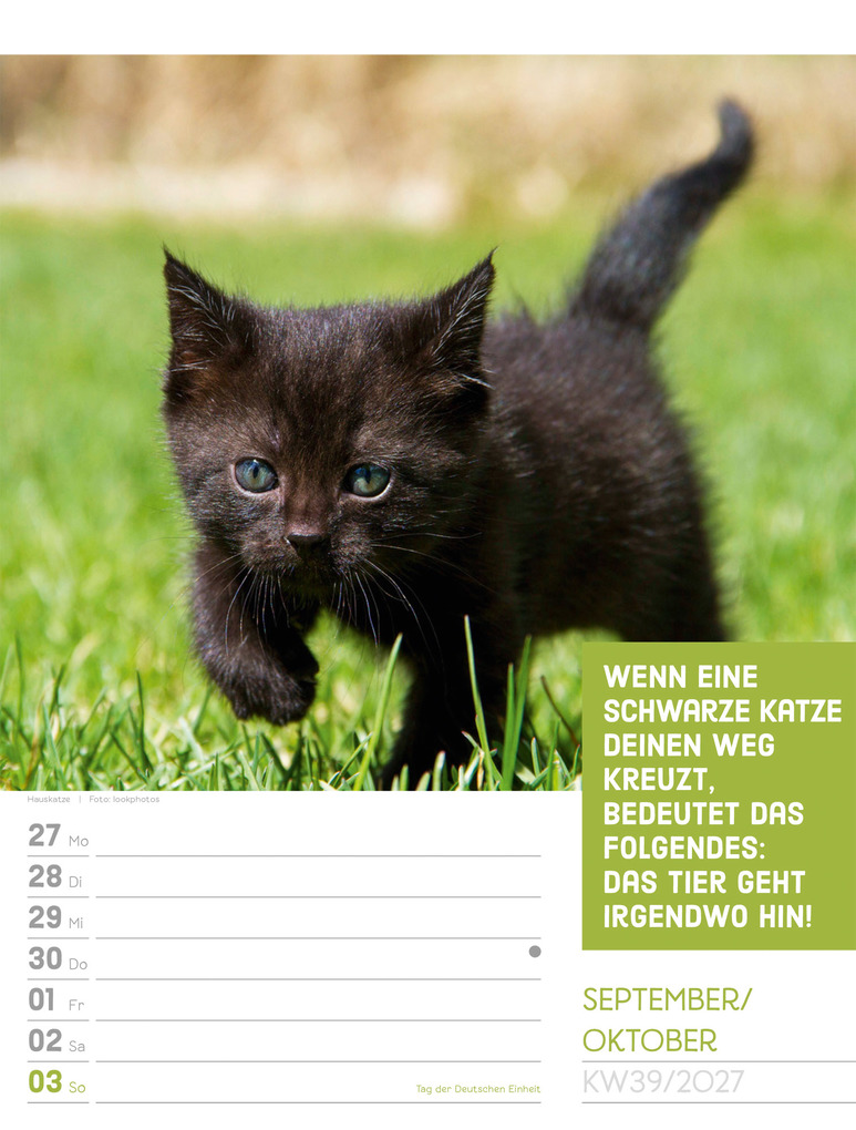 Weitere Ansicht: Tierisch Sprüchekalender Wochenplaner 2027 | Ackermann Kunstverlag GmbH