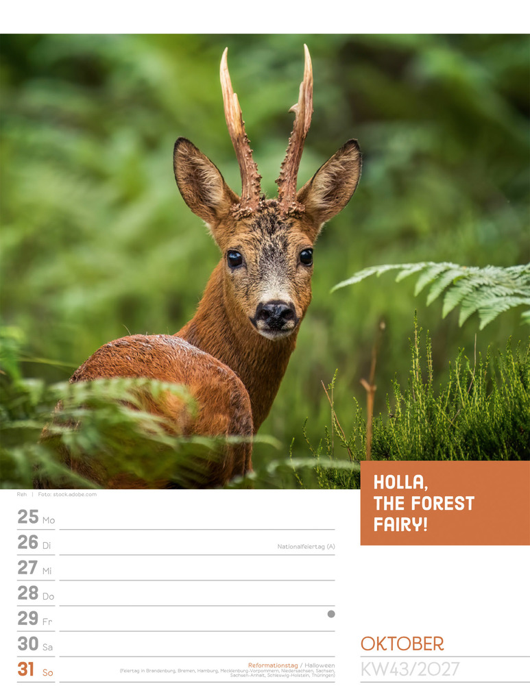 Weitere Ansicht: Tierisch Sprüchekalender Wochenplaner 2027 | Ackermann Kunstverlag GmbH