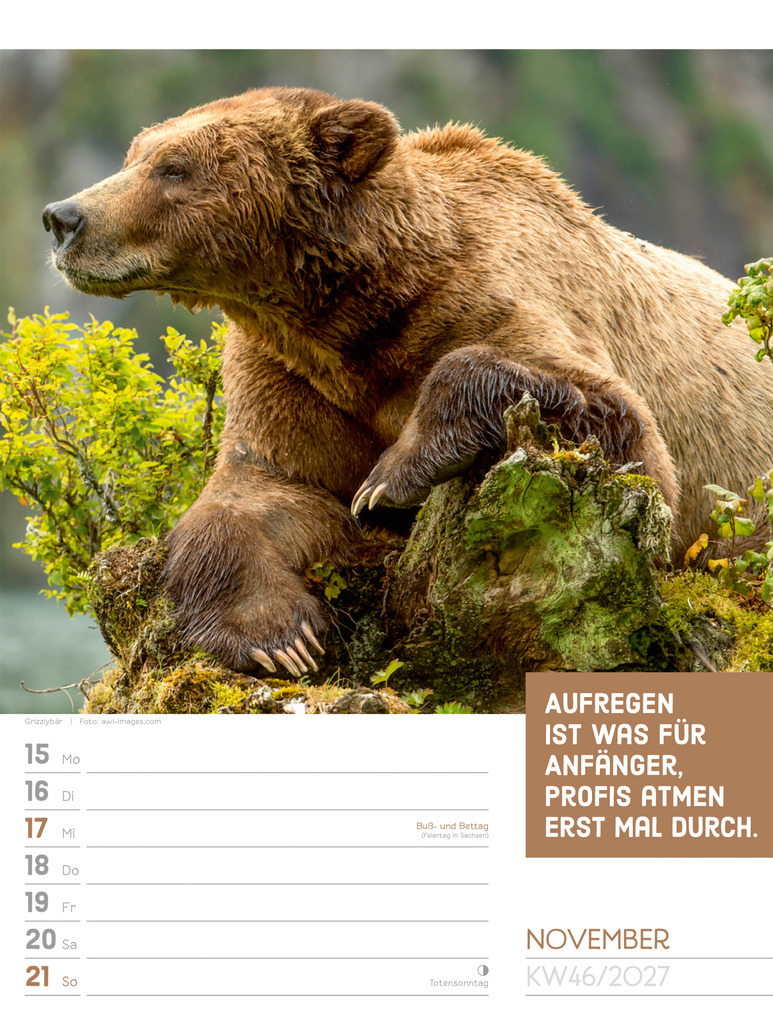 Weitere Ansicht: Tierisch Sprüchekalender Wochenplaner 2027 | Ackermann Kunstverlag GmbH