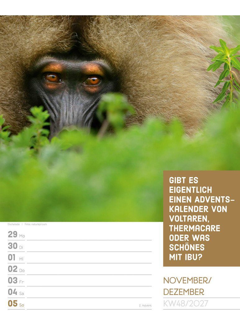 Weitere Ansicht: Tierisch Sprüchekalender Wochenplaner 2027 | Ackermann Kunstverlag GmbH