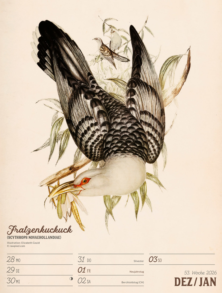 Weitere Ansicht: Wunderbare Vogelwelt Wochenplaner Kalender 2027 | Ackermann Kunstverlag GmbH