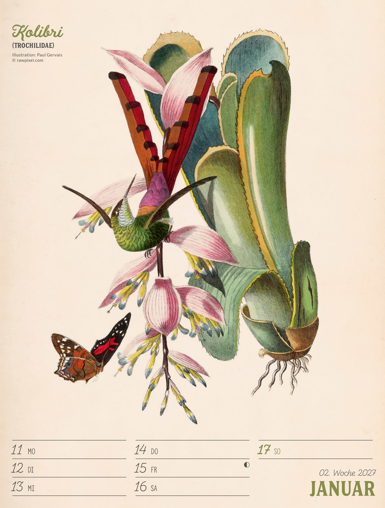 Weitere Ansicht: Wunderbare Vogelwelt Wochenplaner Kalender 2027 | Ackermann Kunstverlag GmbH
