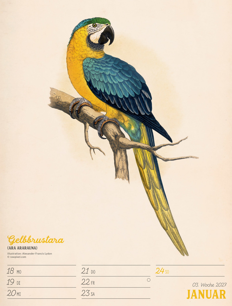 Weitere Ansicht: Wunderbare Vogelwelt Wochenplaner Kalender 2027 | Ackermann Kunstverlag GmbH