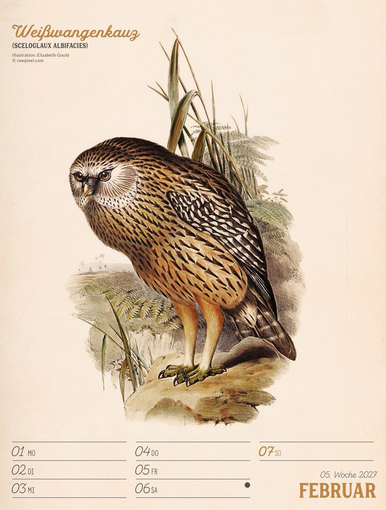 Weitere Ansicht: Wunderbare Vogelwelt Wochenplaner Kalender 2027 | Ackermann Kunstverlag GmbH