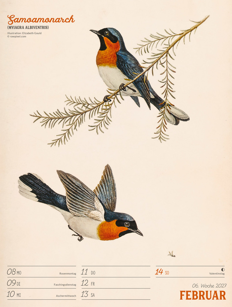 Weitere Ansicht: Wunderbare Vogelwelt Wochenplaner Kalender 2027 | Ackermann Kunstverlag GmbH