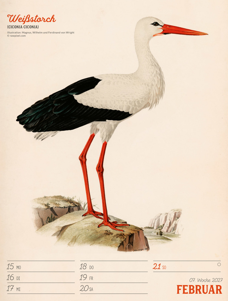 Weitere Ansicht: Wunderbare Vogelwelt Wochenplaner Kalender 2027 | Ackermann Kunstverlag GmbH