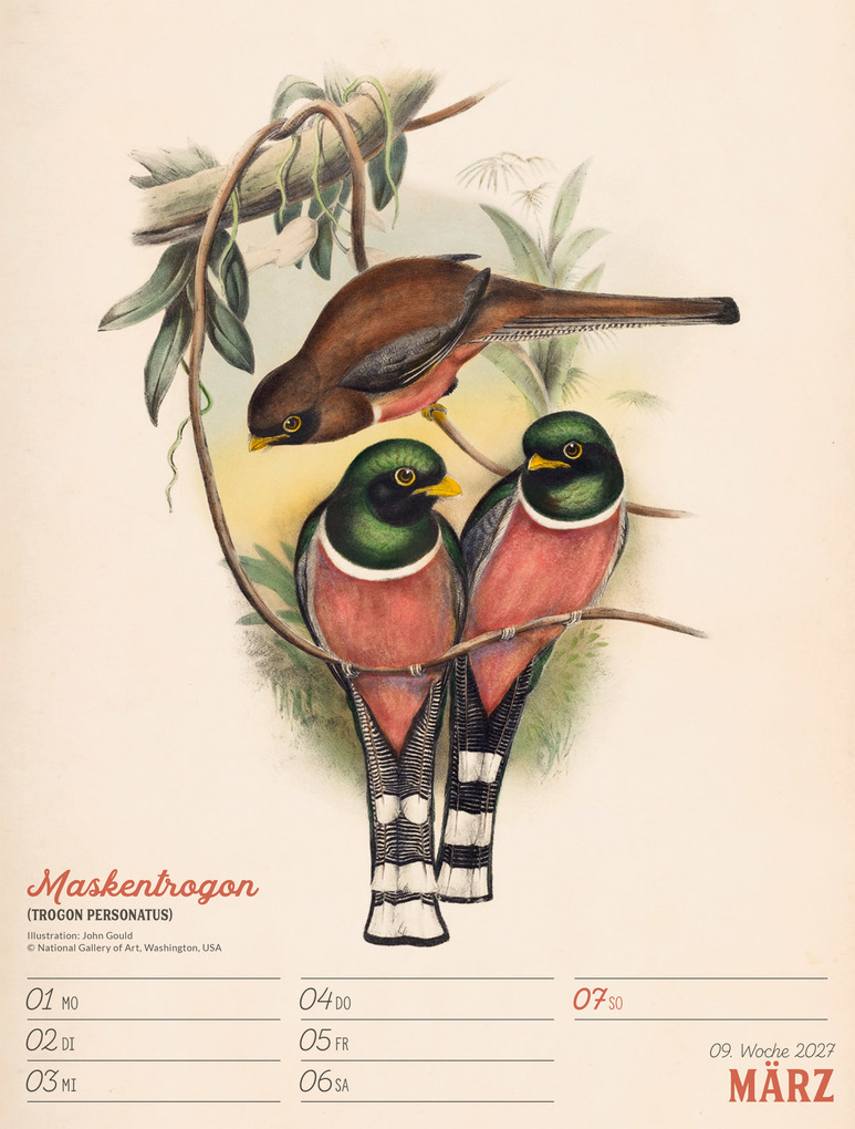 Weitere Ansicht: Wunderbare Vogelwelt Wochenplaner Kalender 2027 | Ackermann Kunstverlag GmbH