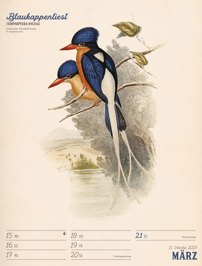 Weitere Ansicht: Wunderbare Vogelwelt Wochenplaner Kalender 2027 | Ackermann Kunstverlag GmbH