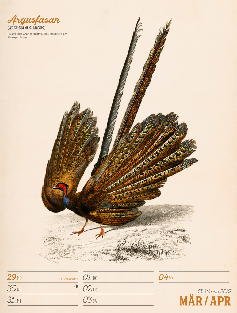 Weitere Ansicht: Wunderbare Vogelwelt Wochenplaner Kalender 2027 | Ackermann Kunstverlag GmbH