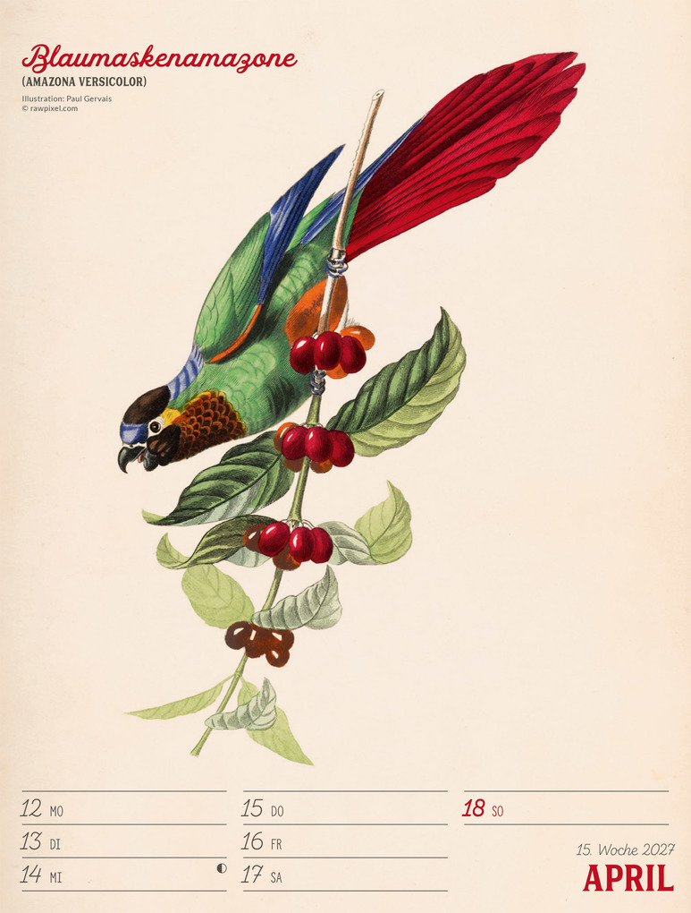 Weitere Ansicht: Wunderbare Vogelwelt Wochenplaner Kalender 2027 | Ackermann Kunstverlag GmbH