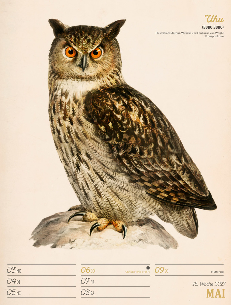 Weitere Ansicht: Wunderbare Vogelwelt Wochenplaner Kalender 2027 | Ackermann Kunstverlag GmbH