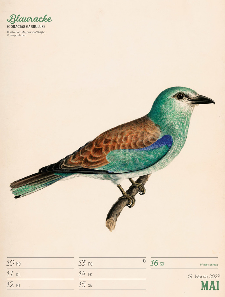 Weitere Ansicht: Wunderbare Vogelwelt Wochenplaner Kalender 2027 | Ackermann Kunstverlag GmbH