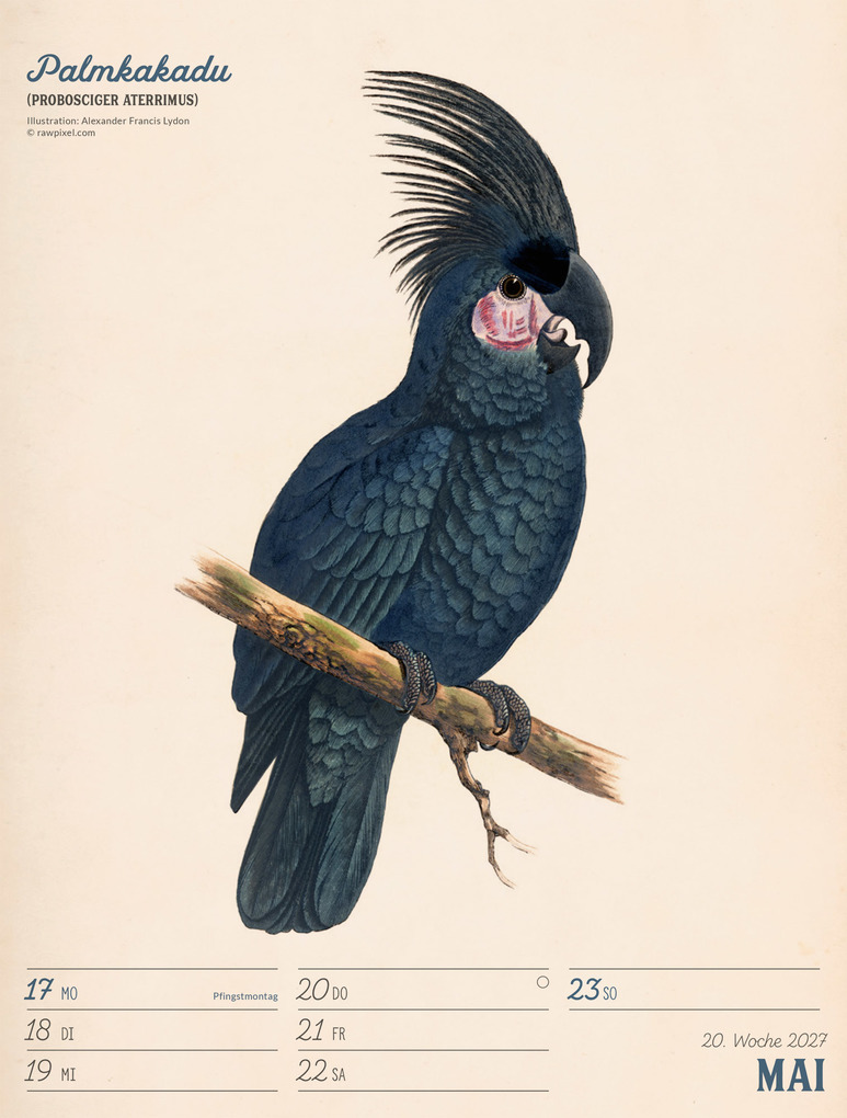 Weitere Ansicht: Wunderbare Vogelwelt Wochenplaner Kalender 2027 | Ackermann Kunstverlag GmbH