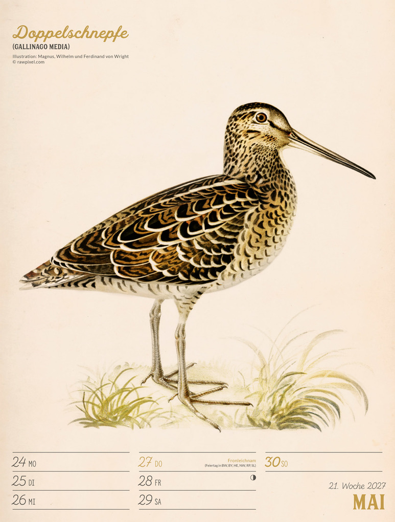 Weitere Ansicht: Wunderbare Vogelwelt Wochenplaner Kalender 2027 | Ackermann Kunstverlag GmbH