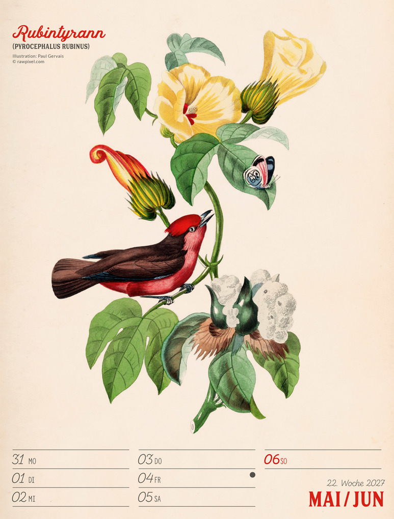 Weitere Ansicht: Wunderbare Vogelwelt Wochenplaner Kalender 2027 | Ackermann Kunstverlag GmbH