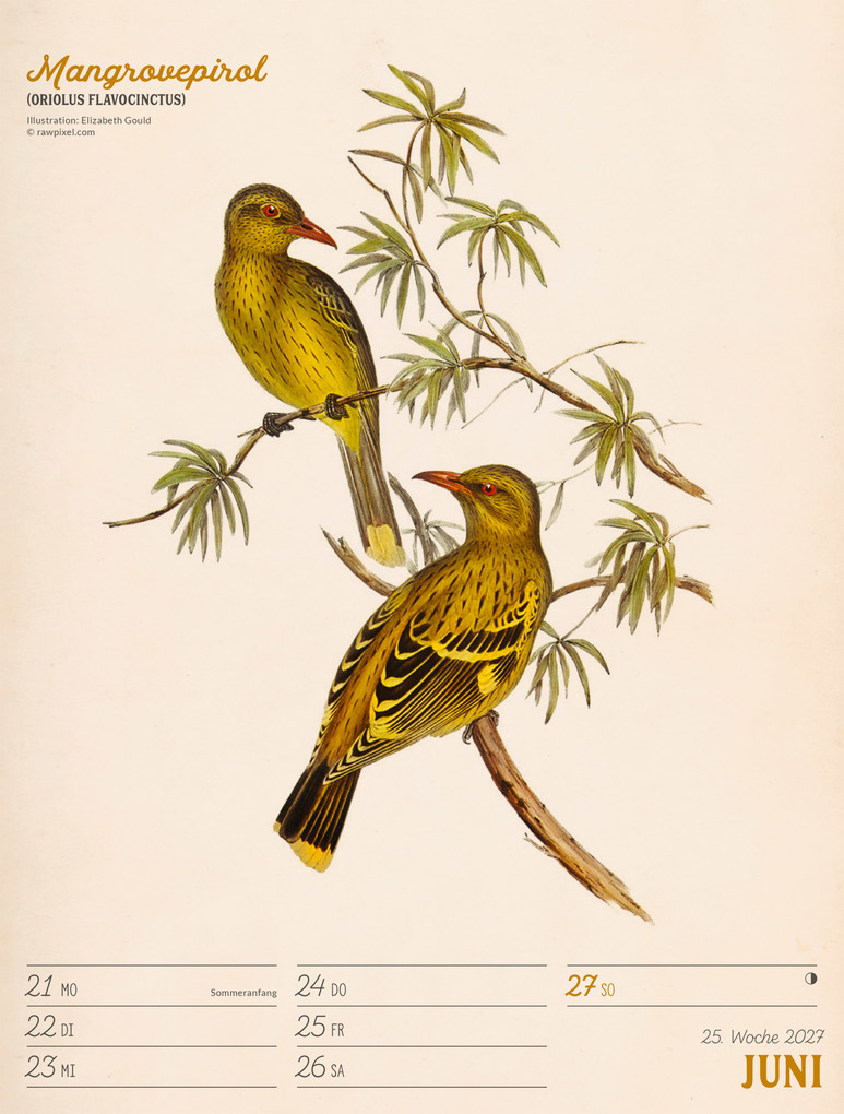 Weitere Ansicht: Wunderbare Vogelwelt Wochenplaner Kalender 2027 | Ackermann Kunstverlag GmbH