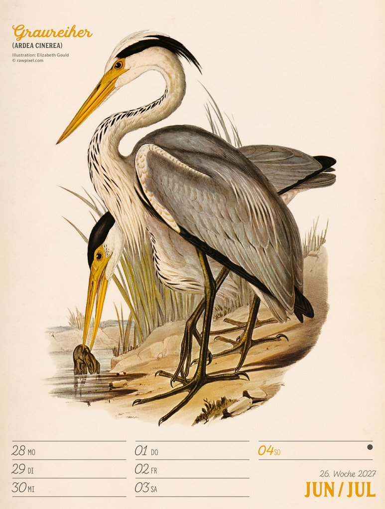 Weitere Ansicht: Wunderbare Vogelwelt Wochenplaner Kalender 2027 | Ackermann Kunstverlag GmbH
