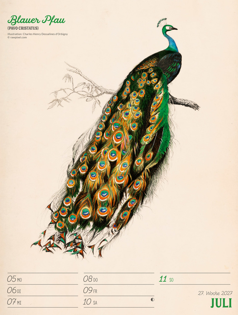 Weitere Ansicht: Wunderbare Vogelwelt Wochenplaner Kalender 2027 | Ackermann Kunstverlag GmbH