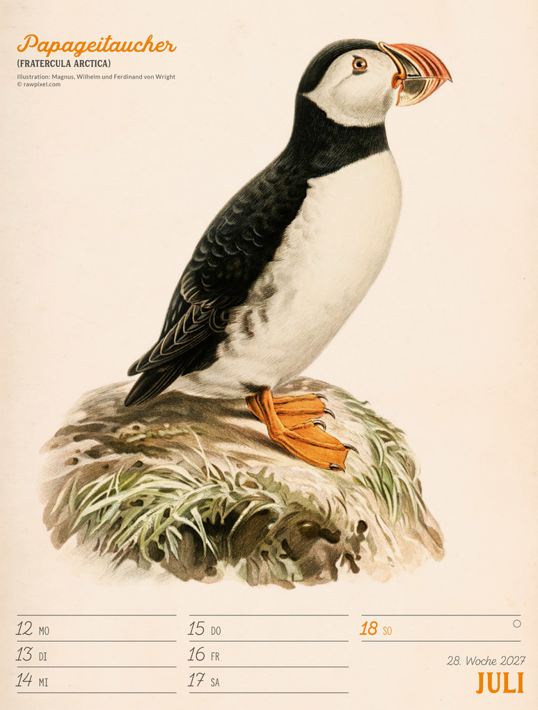 Weitere Ansicht: Wunderbare Vogelwelt Wochenplaner Kalender 2027 | Ackermann Kunstverlag GmbH