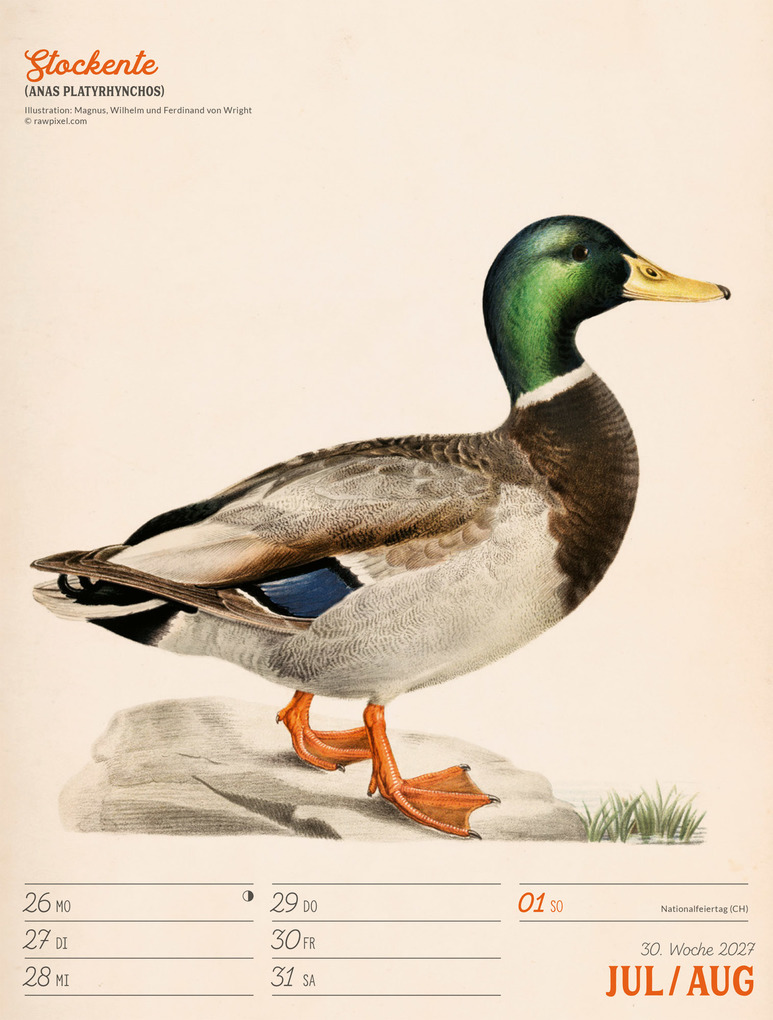 Weitere Ansicht: Wunderbare Vogelwelt Wochenplaner Kalender 2027 | Ackermann Kunstverlag GmbH