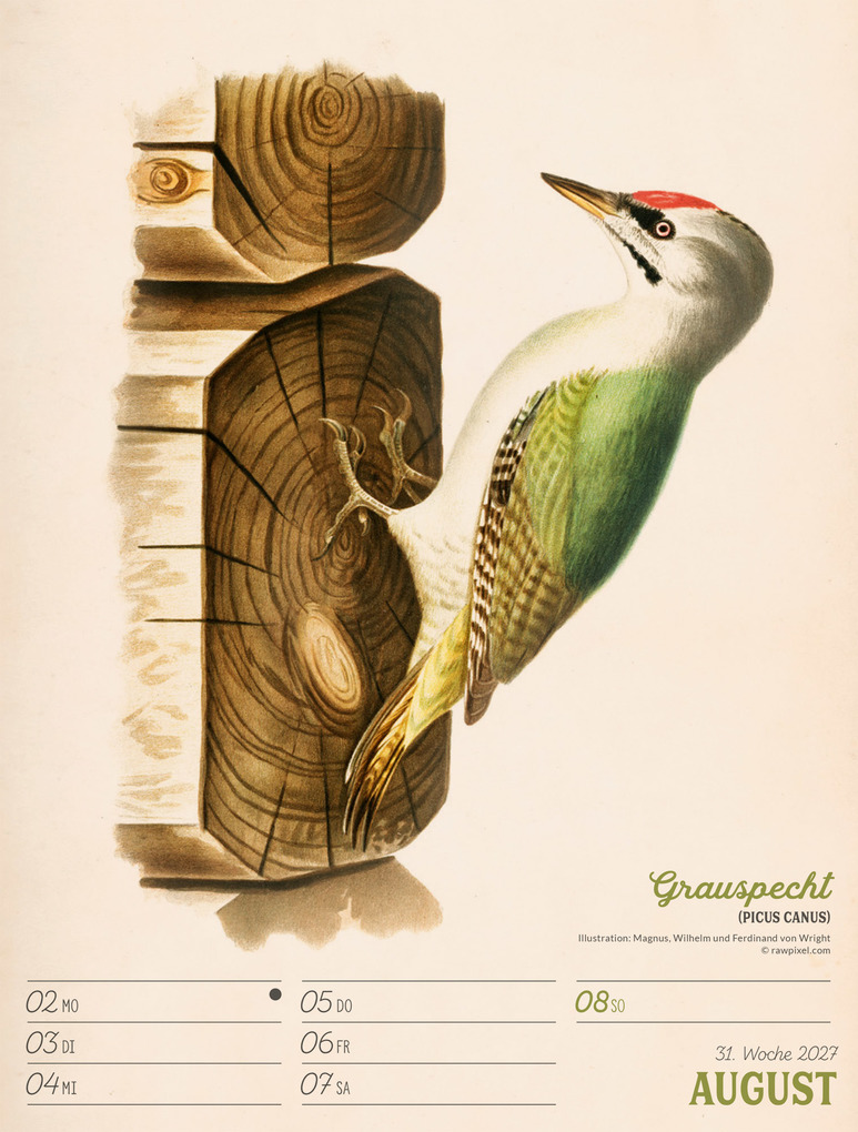 Weitere Ansicht: Wunderbare Vogelwelt Wochenplaner Kalender 2027 | Ackermann Kunstverlag GmbH
