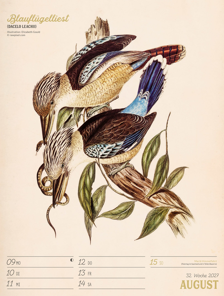 Weitere Ansicht: Wunderbare Vogelwelt Wochenplaner Kalender 2027 | Ackermann Kunstverlag GmbH