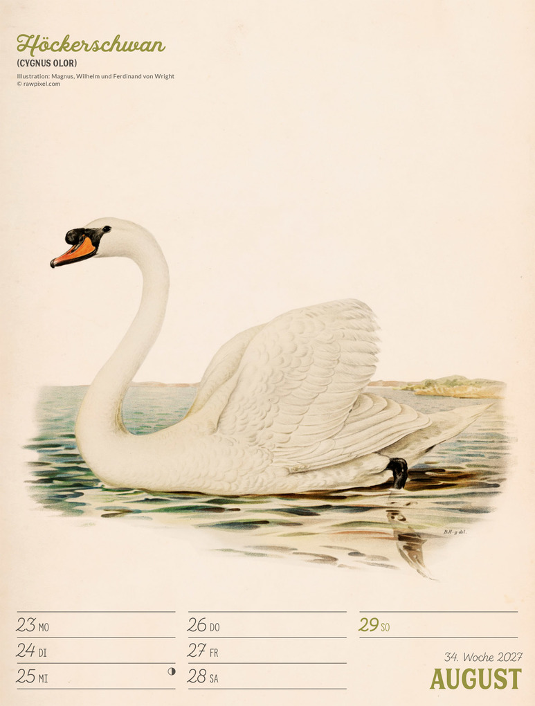 Weitere Ansicht: Wunderbare Vogelwelt Wochenplaner Kalender 2027 | Ackermann Kunstverlag GmbH