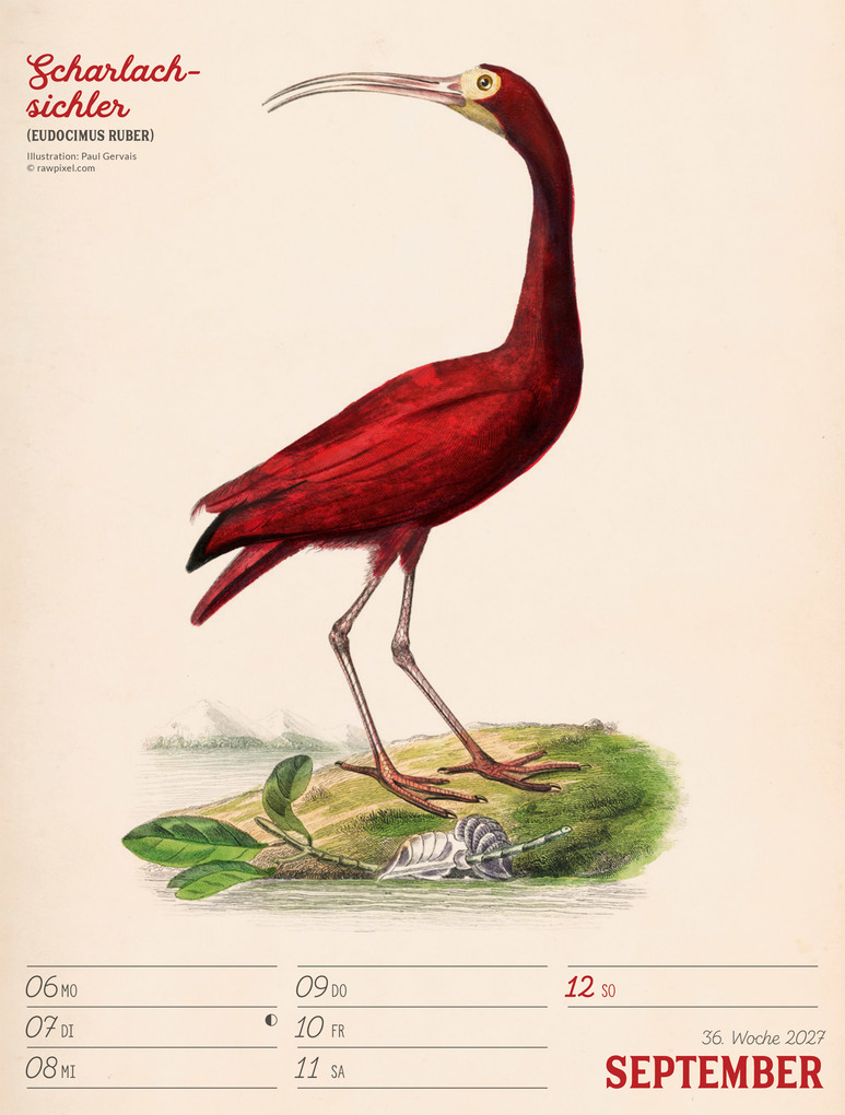 Weitere Ansicht: Wunderbare Vogelwelt Wochenplaner Kalender 2027 | Ackermann Kunstverlag GmbH