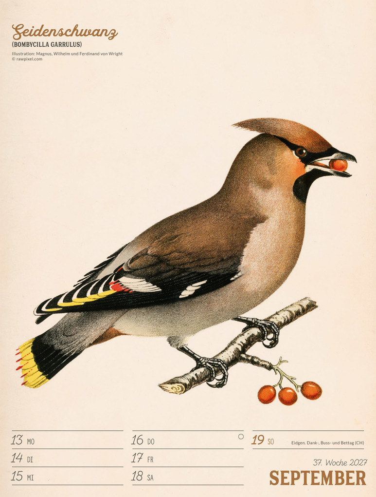 Weitere Ansicht: Wunderbare Vogelwelt Wochenplaner Kalender 2027 | Ackermann Kunstverlag GmbH